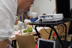 OLYMPUS DIGITAL CAMERA